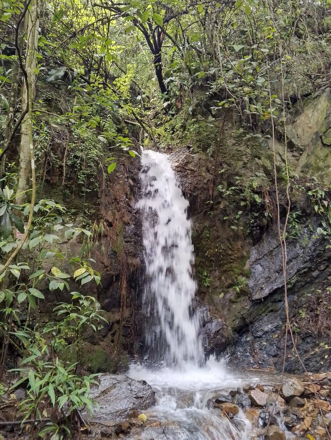 Cascadas naturales y río cristalino