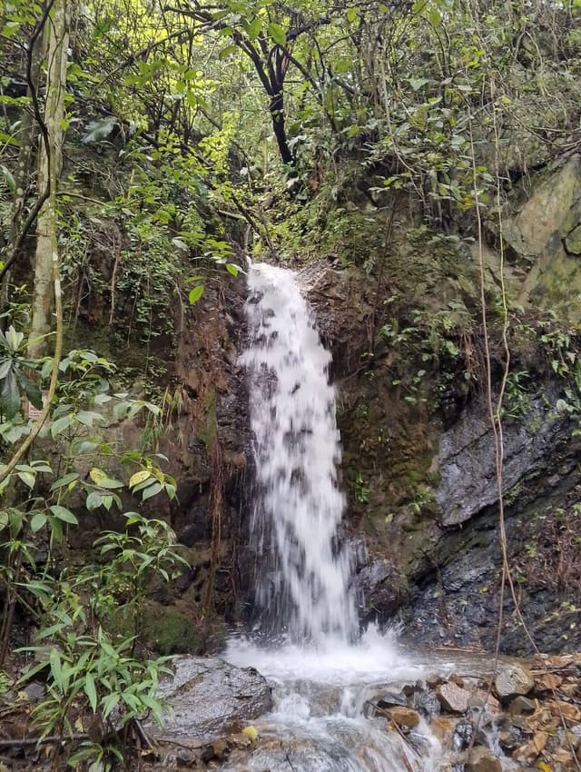Cascadas naturales y río cristalino