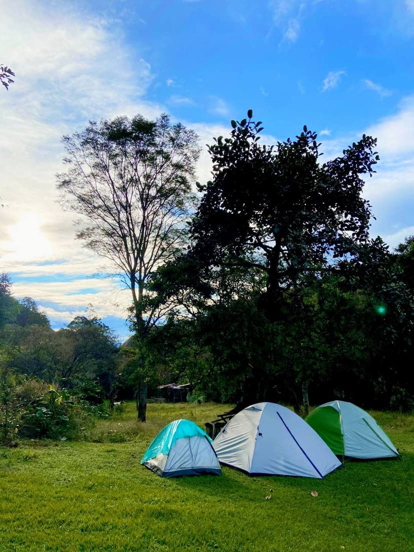Camping