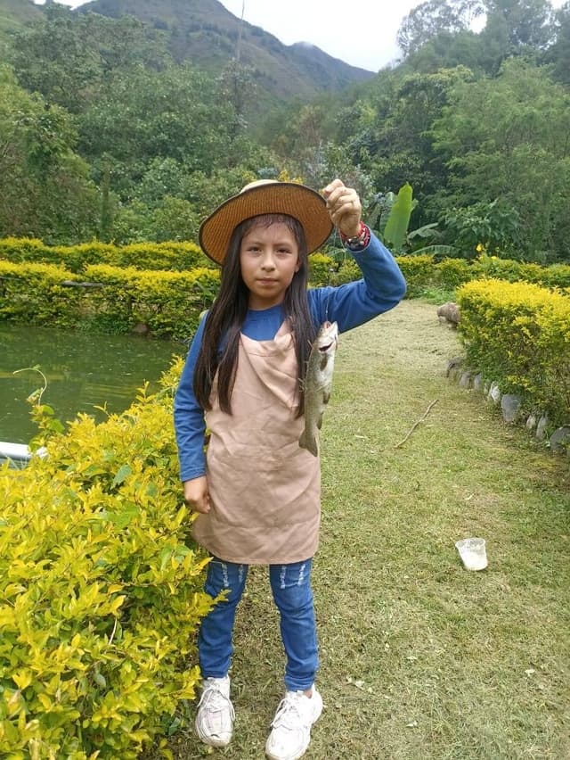 Trucha recién pescada
