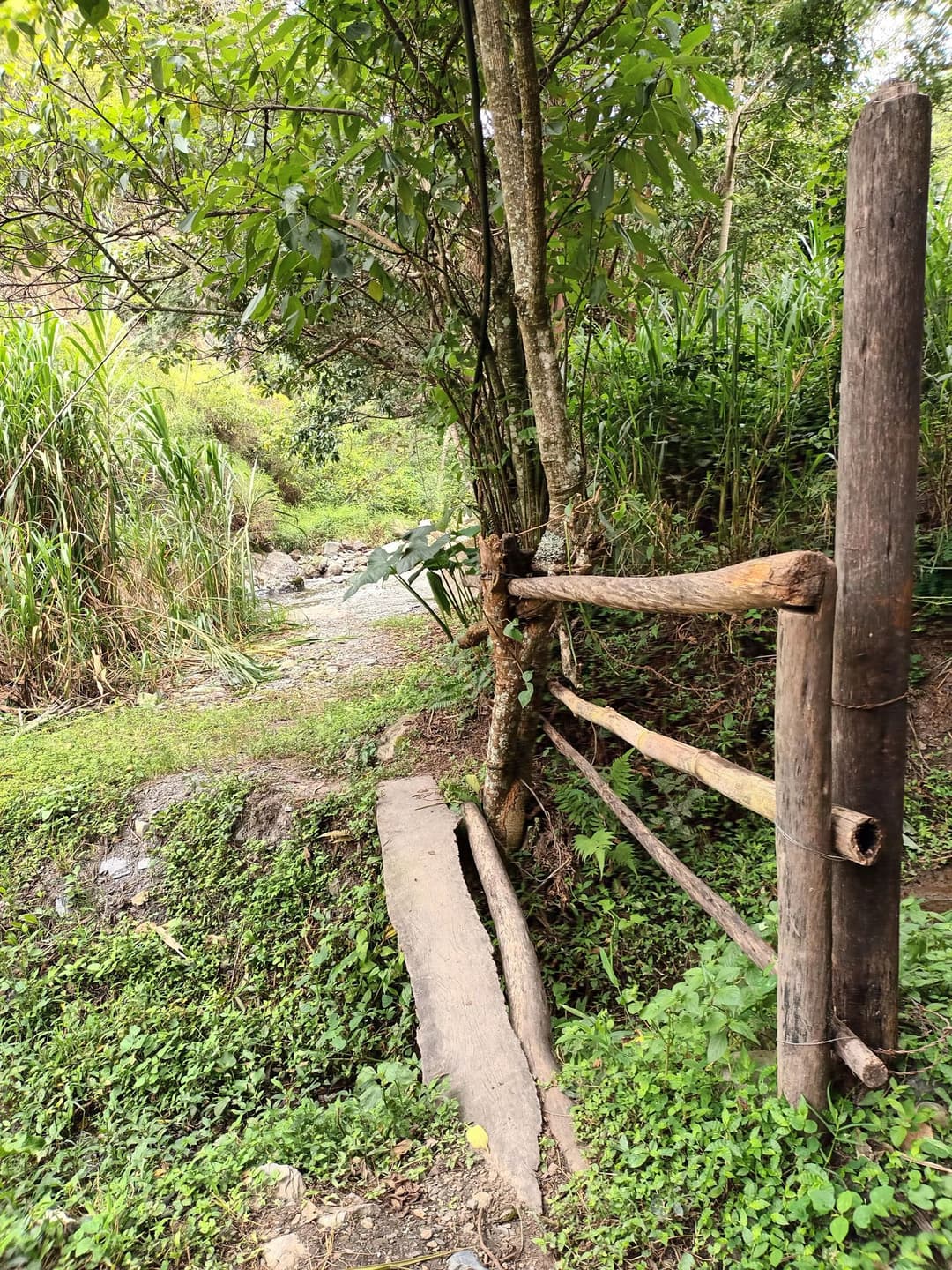 Senderos ecológicos y caminatas en la naturaleza
